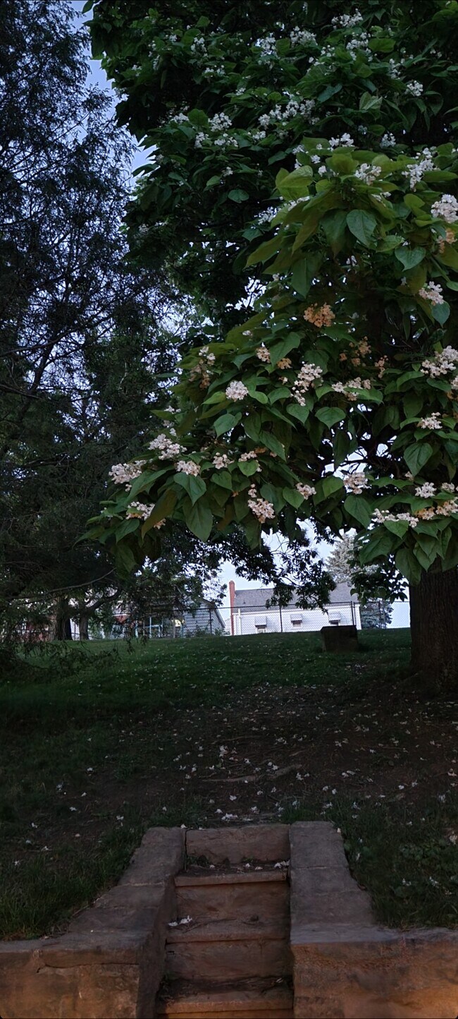 5433 Brightwood Rd, Bethel Park, PA 15102 House Rental in Bethel Park