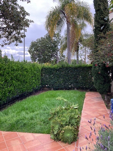 front yard - 1262 S Citrus Ave