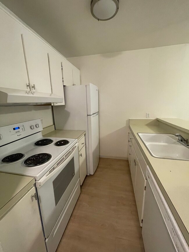Kitchen and Dishwasher - 368 Imperial Way