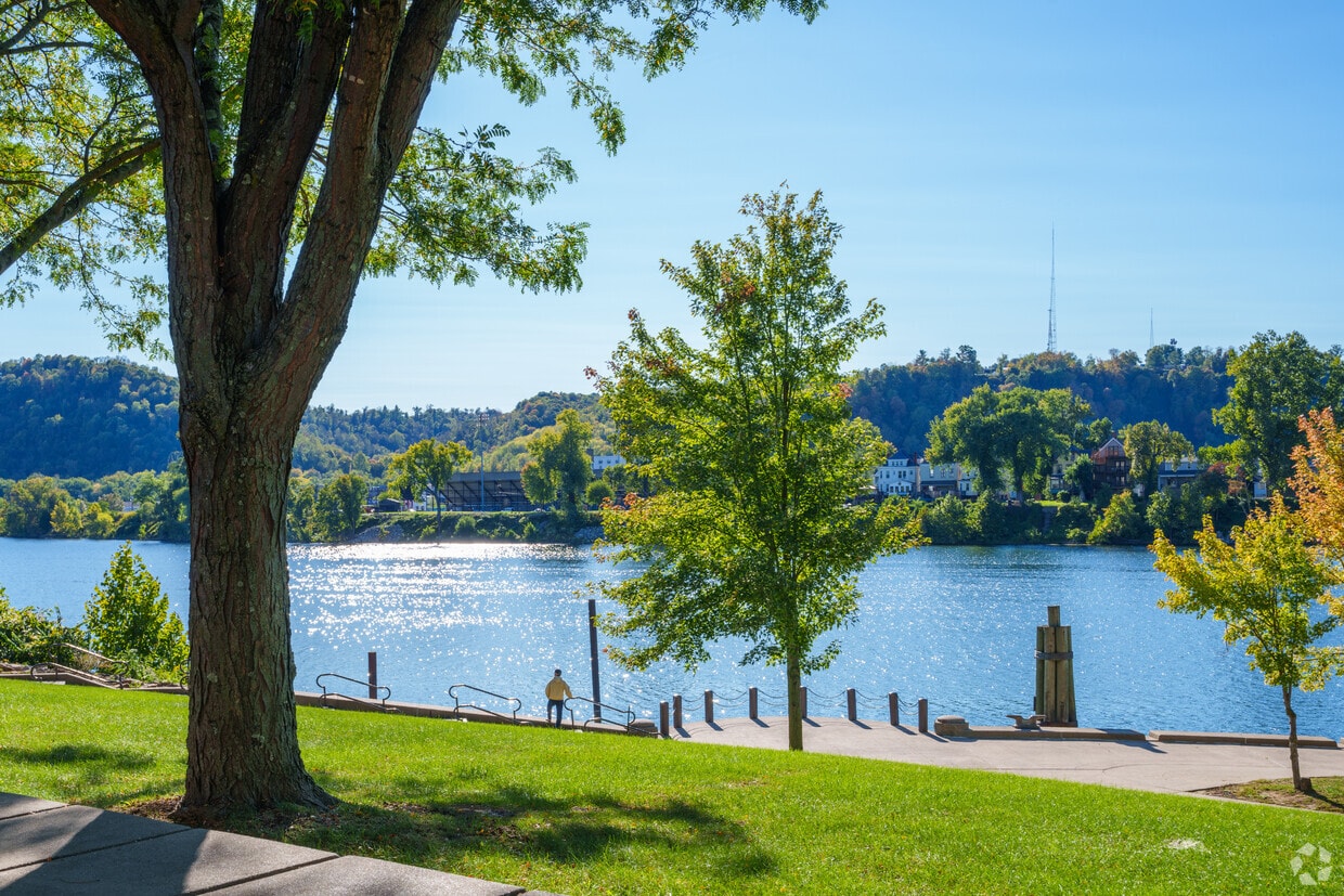 Wheeling city image
