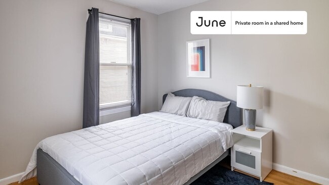 Room in Shared 3 bed/1 bath home - Room in Shared 3 bed/1 bath home