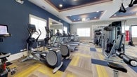 This fitness center is designed to accommodate a comprehensive range of workout styles within a single, open floor plan. The space is anchored by bold navy blue walls contrasted with crisp white trim, creating a dynamic and energizing atmosphere. A distinctive tray ceiling with recessed lighting and a central ceiling fan adds architectural depth overhead, while arched windows along the perimeter allow natural light to fill the room throughout the day.

The cardio zone features a row of treadmills, elliptical trainers, and stationary bikes, all positioned to take advantage of the natural light and wall-mounted mirrors that visually expand the space. The strength training area is well-appointed with a power rack, adjustable weight bench, barbell plates, and a multi-functional cable machine from Precor. A dedicated free weights section includes a full dumbbell rack with red-handled weights paired with an adjustable bench and a large wall mirror for form monitoring.

A functional training area provides additional versatility, outfitted with TRX suspension trainers, resistance bands, medicine balls, a punching bag, and a plyometric box. Throughout the space, colorful modular carpet tiles in shades of gray, yellow, and navy provide both visual interest and practical durability.