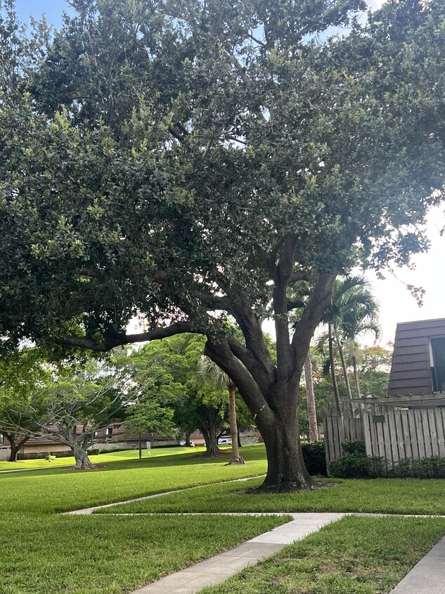 Foto principal - 2430 24th Ln