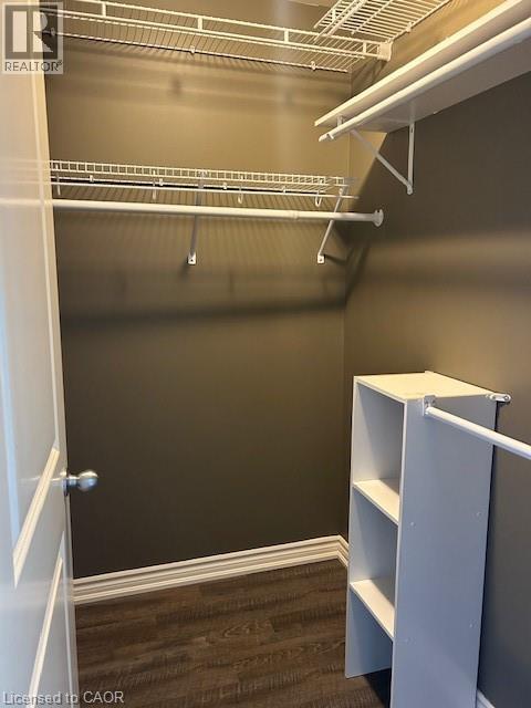 Building Photo - 5327 Upper Middle Rd