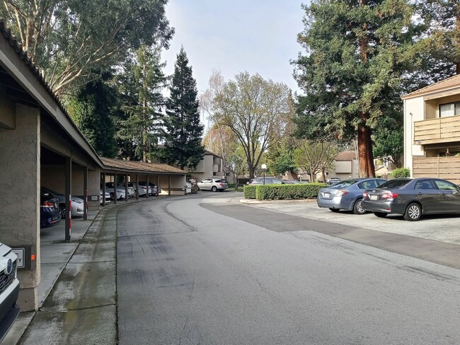 Building Photo - Spacious First Floor 2bd Condo With Laundr...