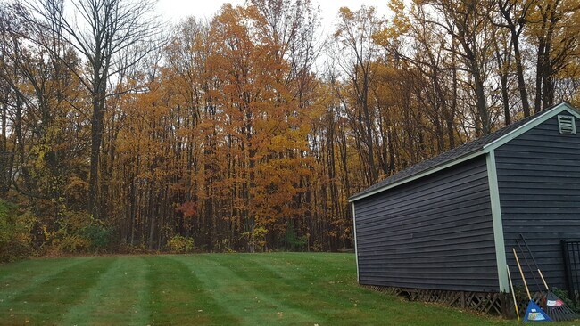 Back yard - 760 Fairview St