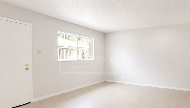 Building Photo - Large Move-In Ready Studio Apartment Near Kirtland AFB