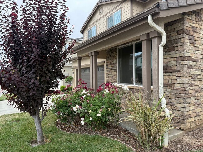 Building Photo - Reseda Ranch 5 bedroom 3 bath house!