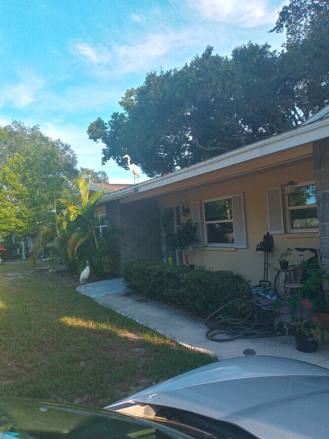 Building Photo - 1105 Admiral Rd