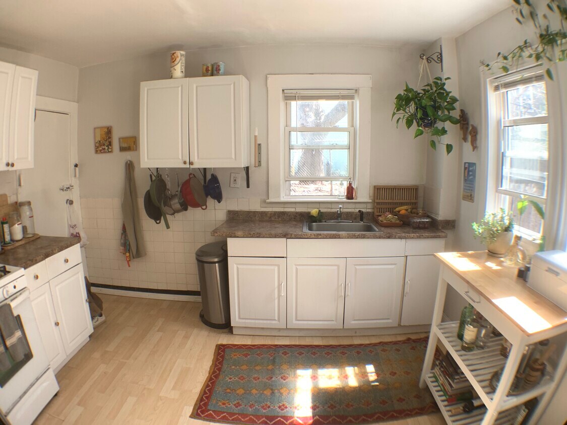 Primary Photo - 17 Round Hill St