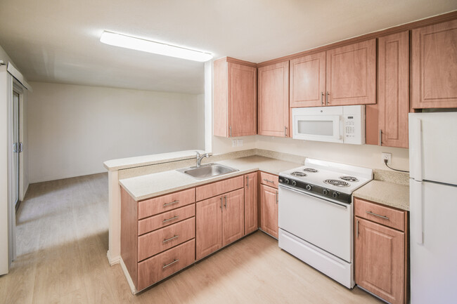 Updated kitchens - Plum Street Garden Apartments