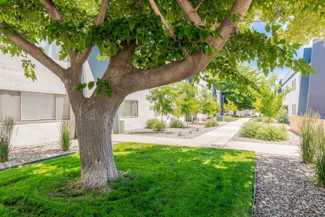 Building Photo - Valley Apartments