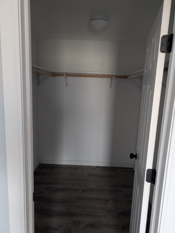 Photo - 262 George St Apartment