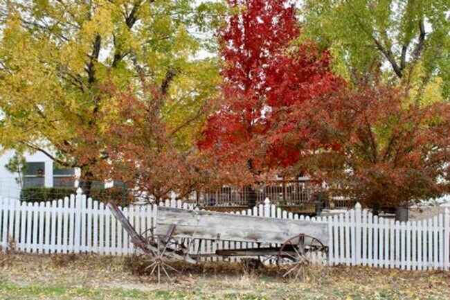 Foto del edificio - Gorgeous