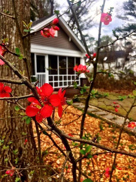 Foto principal - 766 Valley Brook Rd