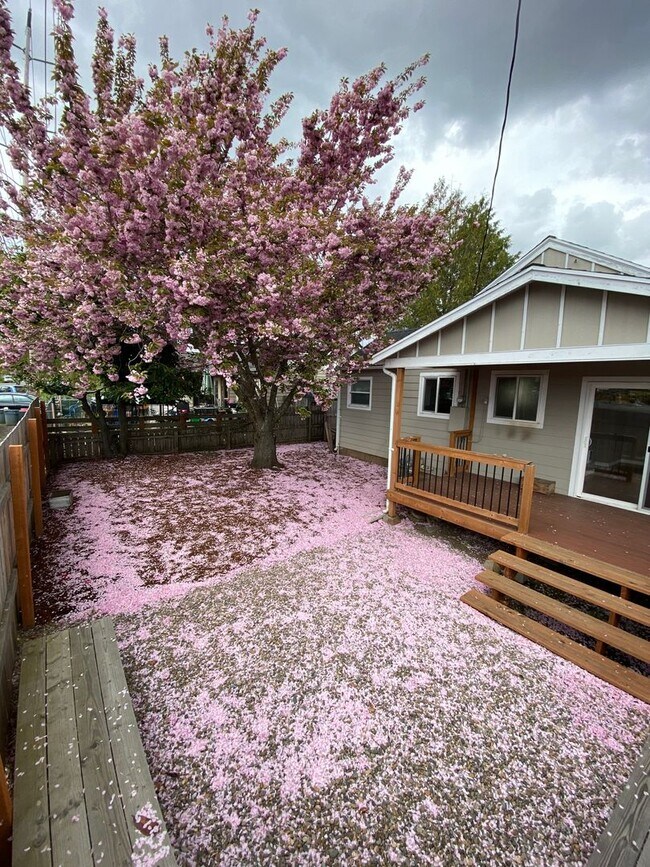 Foto del edificio - 20th St SE Duplex