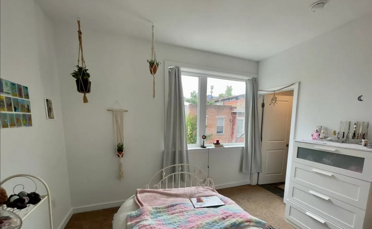 Newly Renovated Apartments-Temple University - Newly Renovated Apartments-Temple University