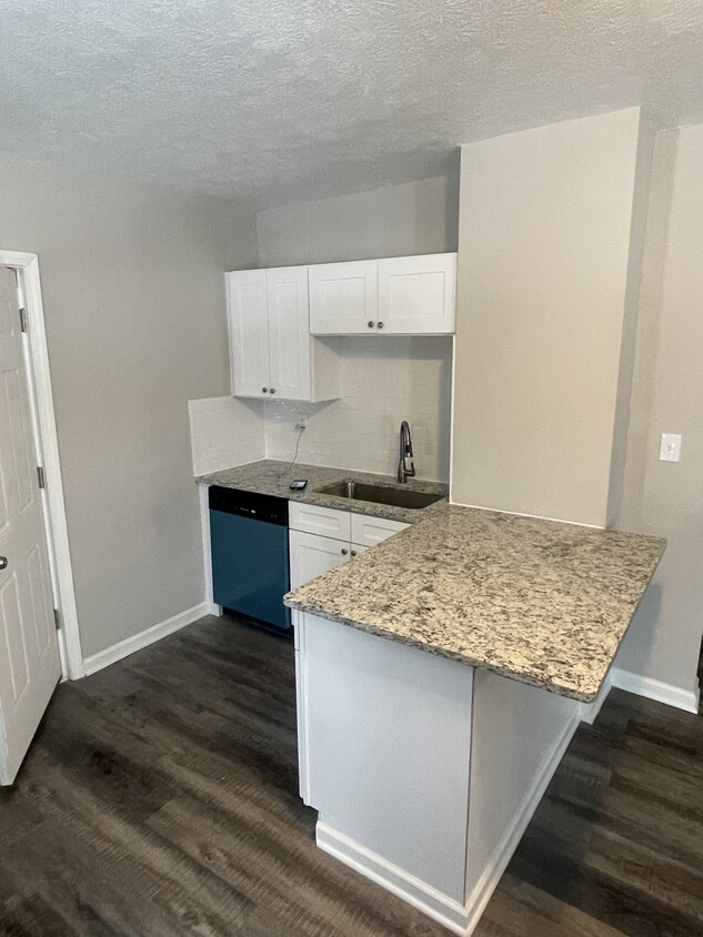 Brand new kitchen with no-slam cabinets and granite countertops with eat-in overhang - 25424 Highland Rd