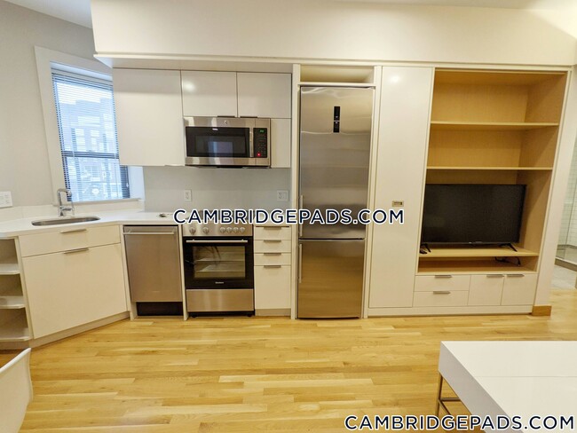 Building Photo - 115 Mt Auburn St