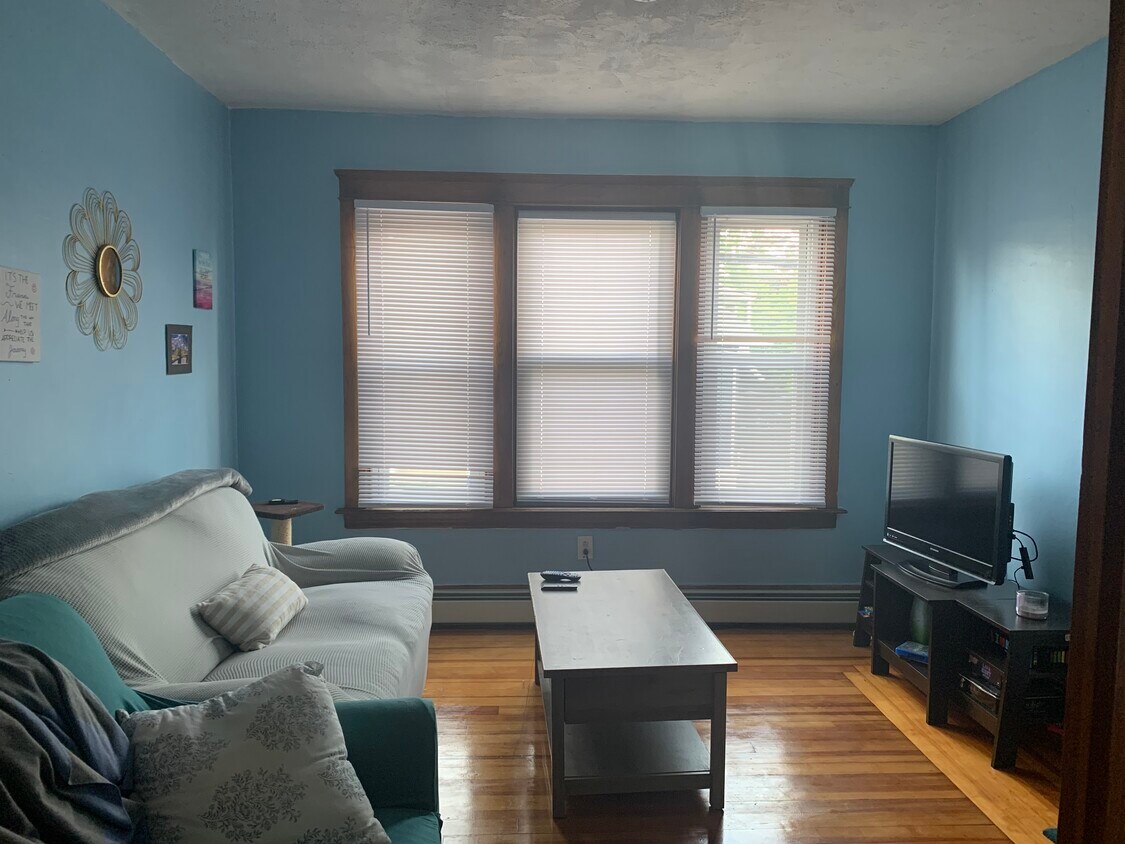 Sunny Living Room - 727 Main St
