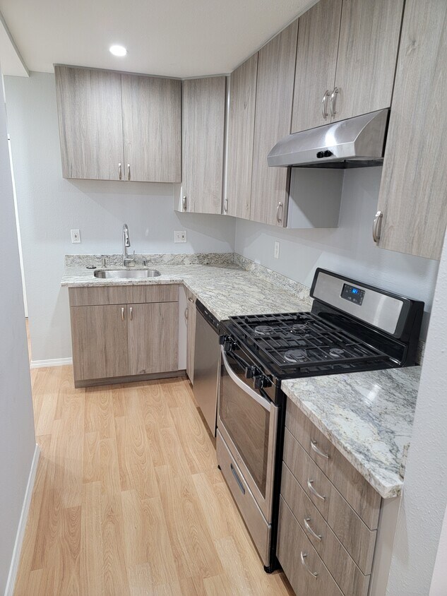 new kitchen - 334 Shotwell St