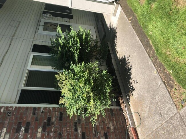 Foto del edificio - 2285 Poplar Dr