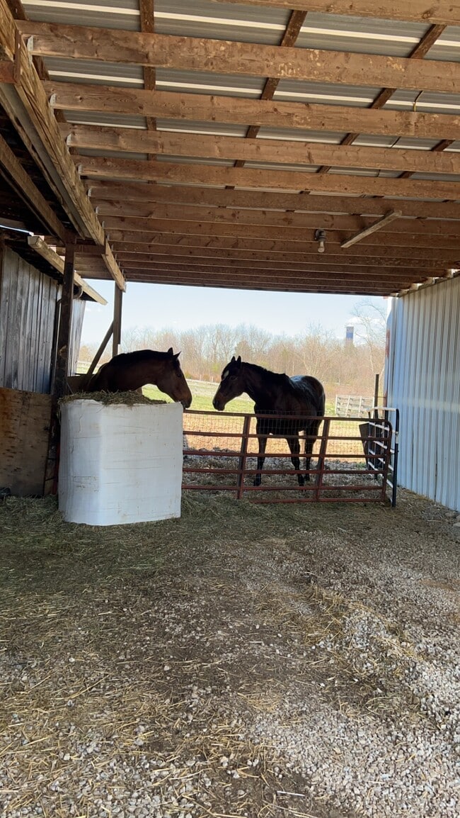 Building Photo - 1557 Clifton Rd