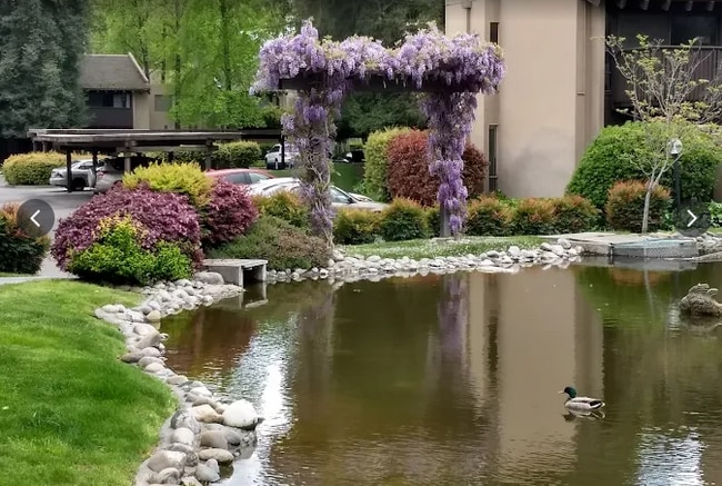 Foto del edificio - Charming 1bd/1ba Condo in Woodside HOA