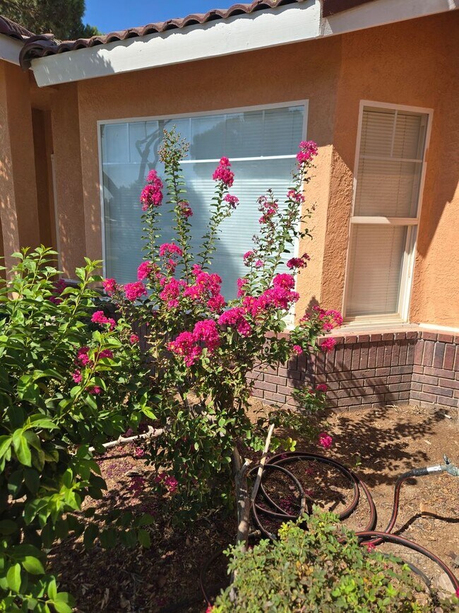 Building Photo - Three bedroom, fresh paint and pool!