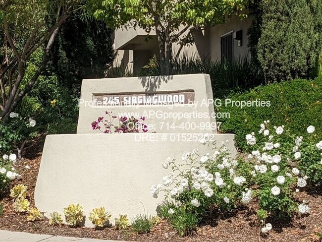 Building Photo - 2 Bedroom - Dual Master Suites Townhouse i...