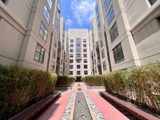 Foto del edificio - Beautiful 2B/2BA Downtown Corner Unit Cond...