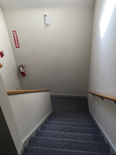¡Apartamentos de Rye Field - Rye Field Apartments