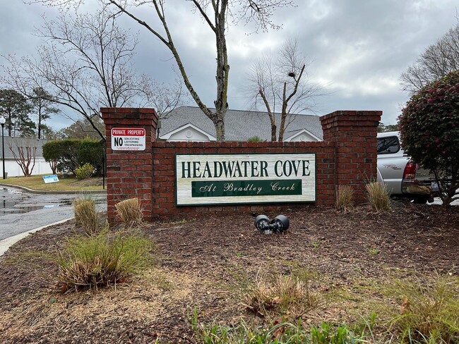 Building Photo - 1013 Headwater Cove Ln