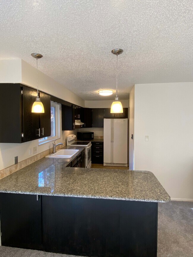 Kitchen w/ granite counters - 1497 Spring Valley Dr