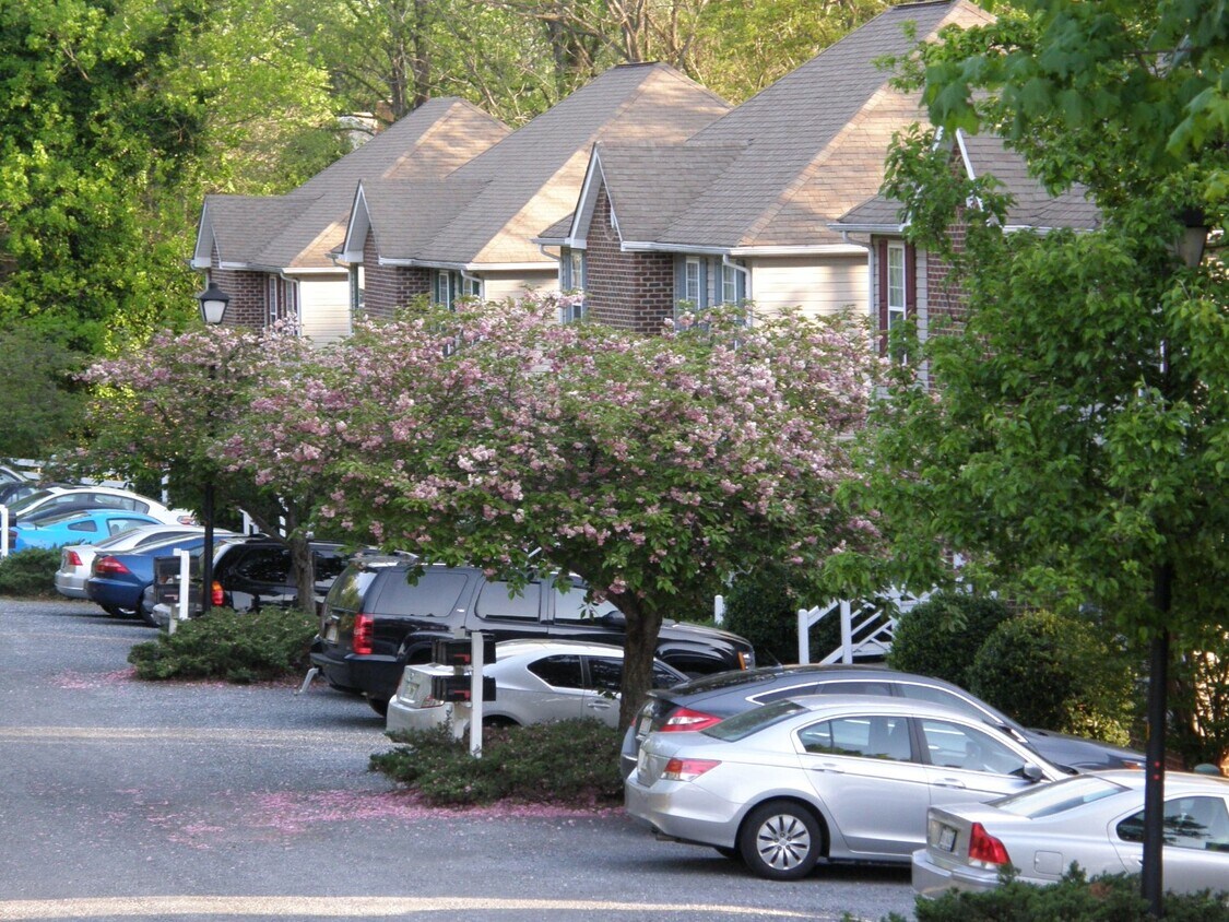 ALOJAMIENTO TEMPORAL AMUEBLADO - Corporate Housing/Short Term - Lynchburg