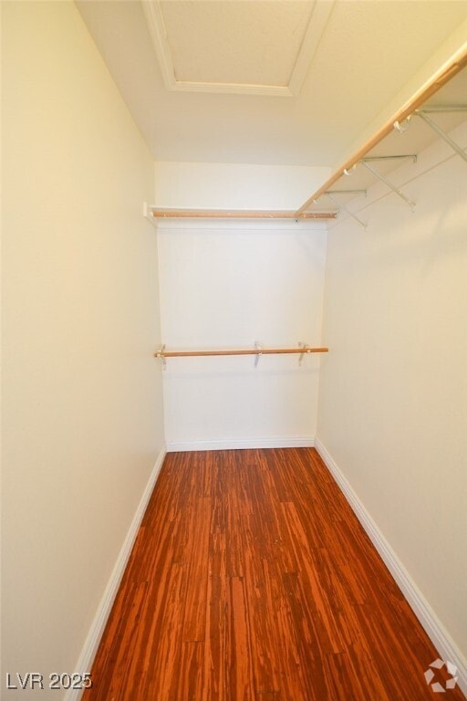 Building Photo - 708 Northstar St