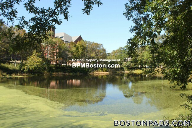 Foto del edificio - 10 Merrymount Rd