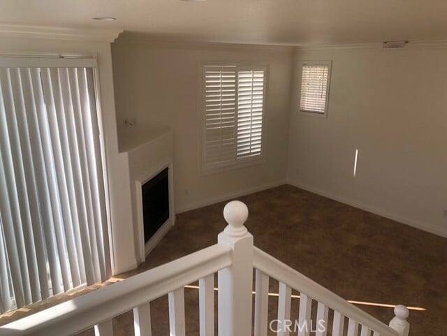 Foto del edificio - 17 Poppyfield Ln