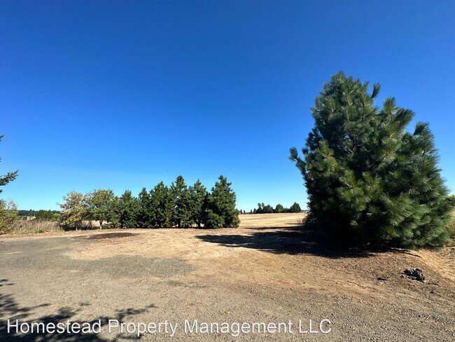 Building Photo - 3 br, 2 bath House - 3005 Riddell Rd.