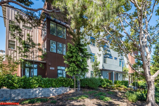 Building Photo - 3281 Berryessa St