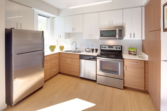 Kitchen - The Andy