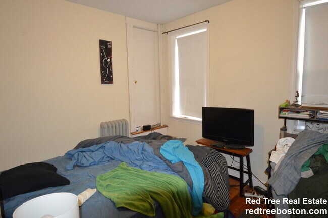 Building Photo - 62 Egmont St