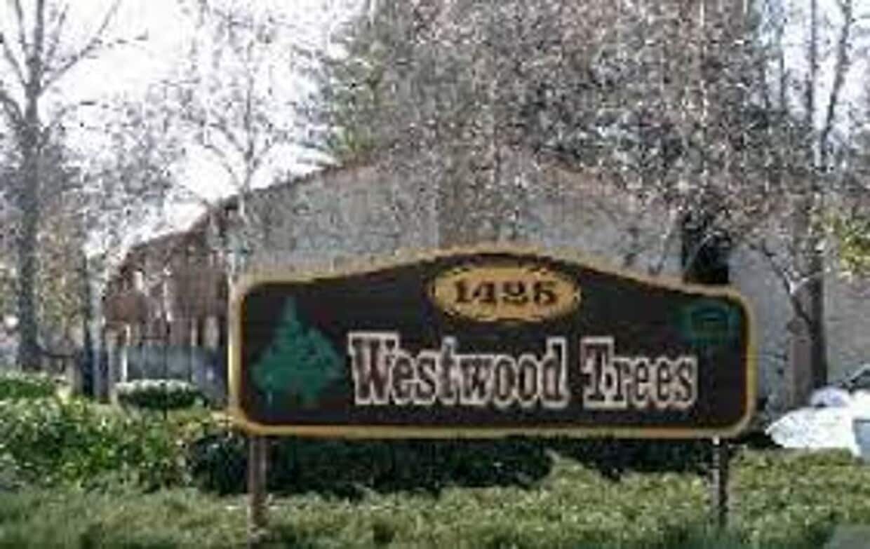 Building Photo - 034 - Westwood Trees