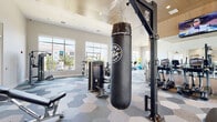 This modern fitness center is thoughtfully designed to support a comprehensive workout experience across multiple functional zones. The main exercise area features soaring ceilings and expansive floor-to-ceiling windows that flood the space with natural light while offering views of the surrounding outdoor environment. A distinctive hexagonal-patterned carpet tile floor adds a contemporary aesthetic throughout the primary workout area.

The strength training zone is equipped with a variety of True and Fight Monkey branded machines, including cable systems, selectorized weight machines, and a heavy punching bag mounted on a dedicated free-standing rack. A row of True-brand treadmills lines one windowed wall, complemented by elliptical trainers and a stair climber for cardio variety. Wall-mounted mirrors and flat-screen televisions enhance the experience throughout.

A warm wood-paneled ceiling structure anchors a central section of the gym, adding an architectural focal point and visual warmth to the space. An adjacent room with light hardwood flooring serves as a dedicated stretch and flexibility studio, featuring a stationary bike, stability balls, medicine balls, and resistance equipment — all bathed in natural light from large surrounding windows.

A glass-paneled door connects the fitness center to an adjoining lounge or clubroom, offering a seamless transition between active and social spaces.