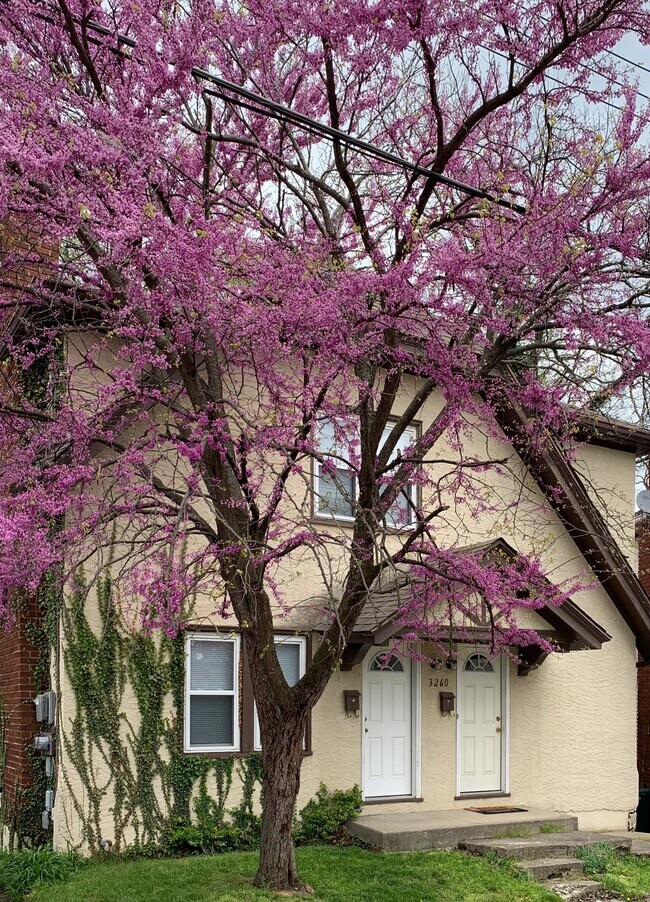Foto del edificio - 3260 Berwyn Pl