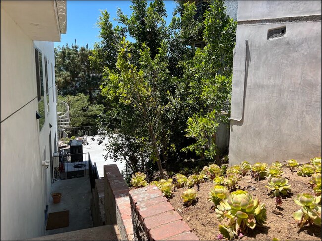 Building Photo - 2387 Mt Olympus Dr