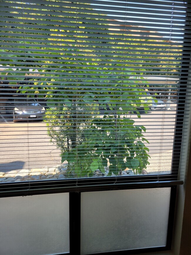 Dining area window - 741 Mikkelsen Dr