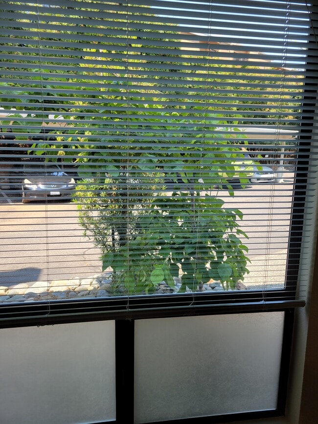 Dining area window - 741 Mikkelsen Dr