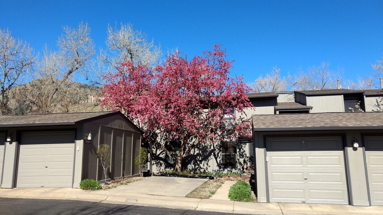 Primary Photo - Sunny 2 bed, 1 bath South Boulder Townhome...