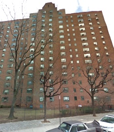 Primary Photo - 531 E 20th St